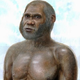 Image for article titled Scientists may have just discovered a brand new species of human